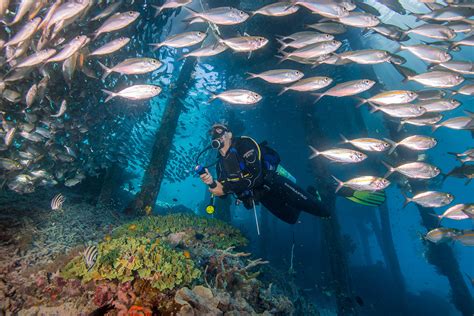  Raja Ampat Diving Festival: A Celebration of Marine Biodiversity and Sustainable Tourism Practices