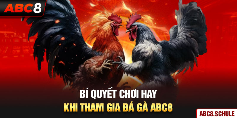 Bí quyết chơi hay khi tham gia đá gà ABC8