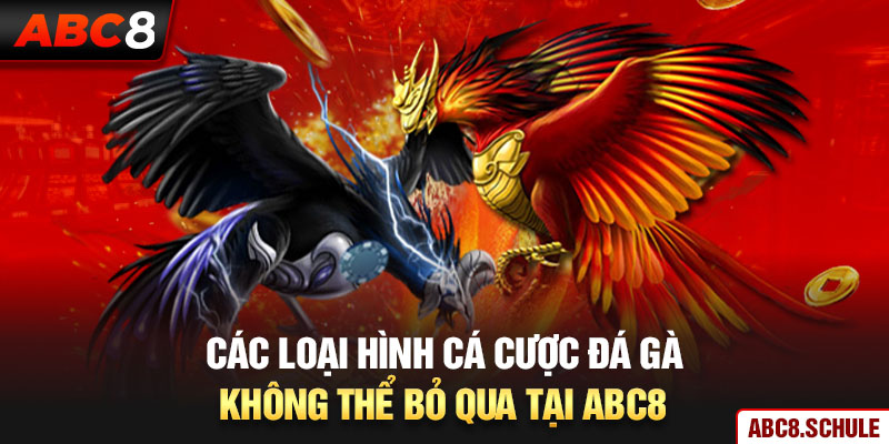 Các loại hình cá cược đá gà không thể bỏ qua tại ABC8