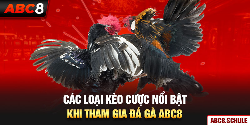 Các loại kèo cược nổi bật khi tham gia đá gà ABC8