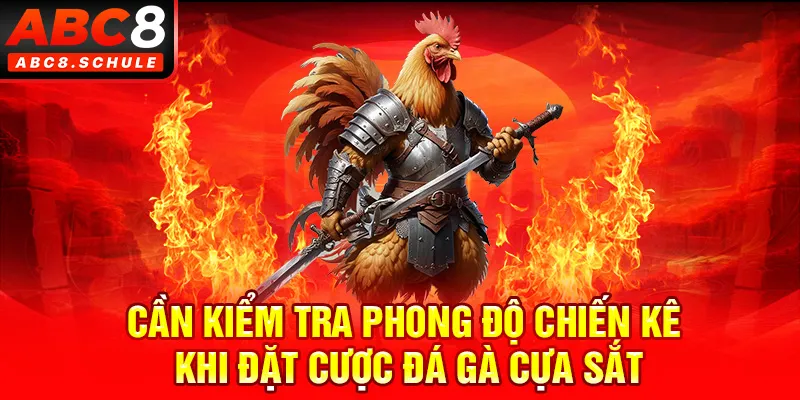 Cần kiểm tra phong độ chiến kê khi đặt cược