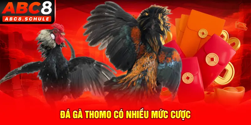 Đá gà Thomo có nhiều mức cược