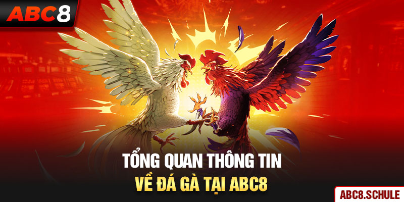 Tổng quan thông tin về đá gà tại ABC8